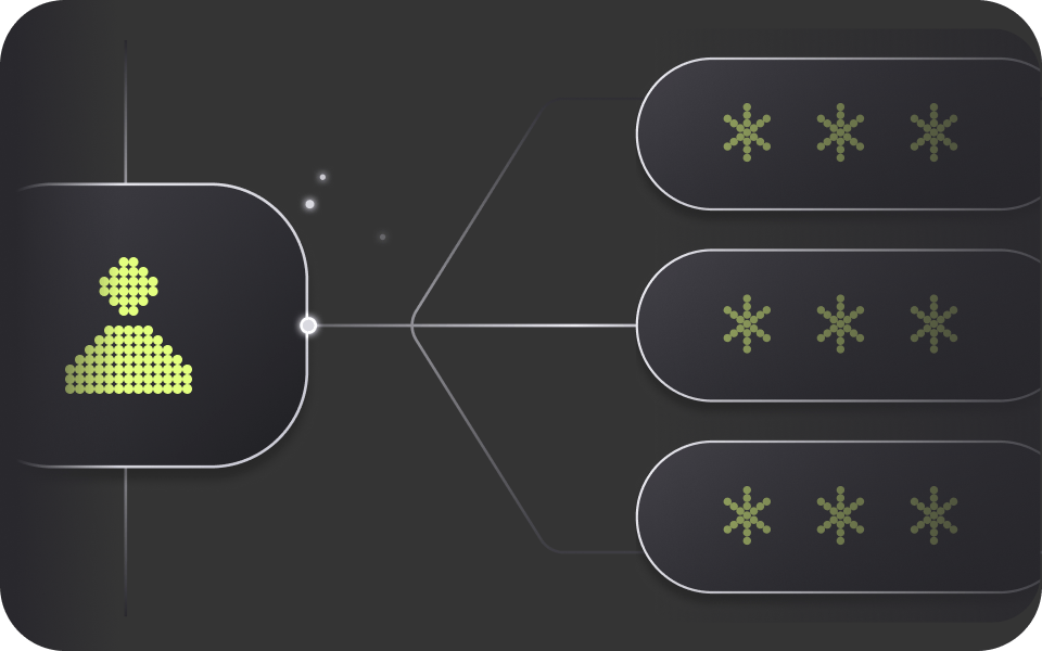 응용 소프트웨어